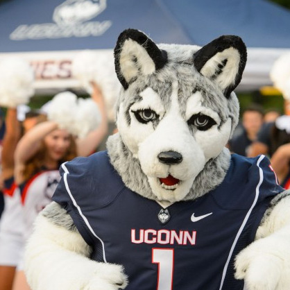Online Advanced Graduate Business Certificate in Accounting Analytics: Jonathan the Husky